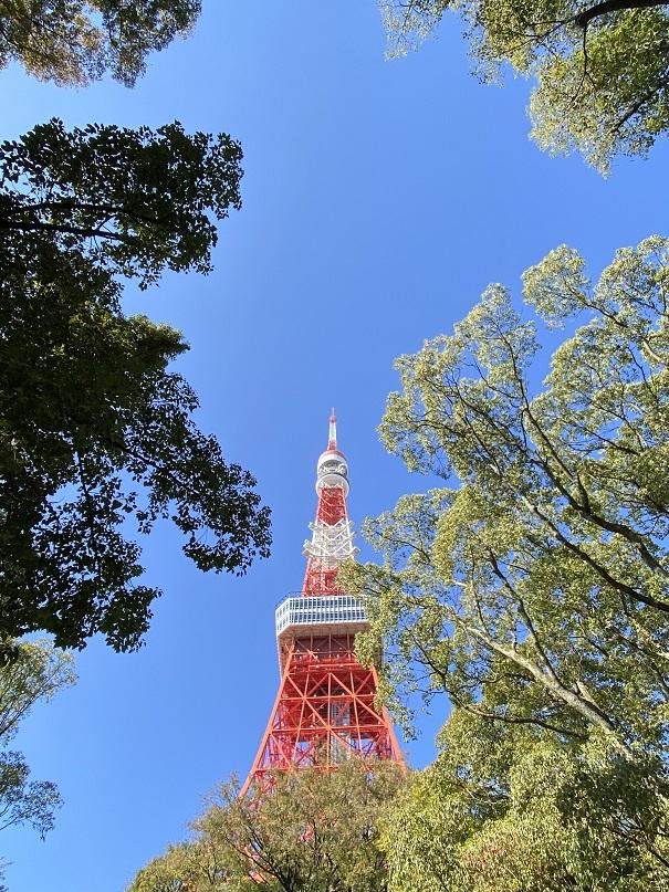 東京タワー13